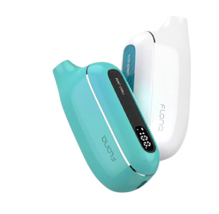 Flonq Max Smart 12000 Mint Chill (Мятный холод) 5% dFlonq Max Smart 12000 Mint Chill  фото