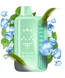 Elf Bar BC 45000 Double Mint (Двойная Свежая Мята) dElf Bar BC 45000 Double Mint  фото