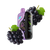 Elf Bar GH33000 PRO Grape Ice (Виноград Лёд) GH33000 PRO Grape Ice фото